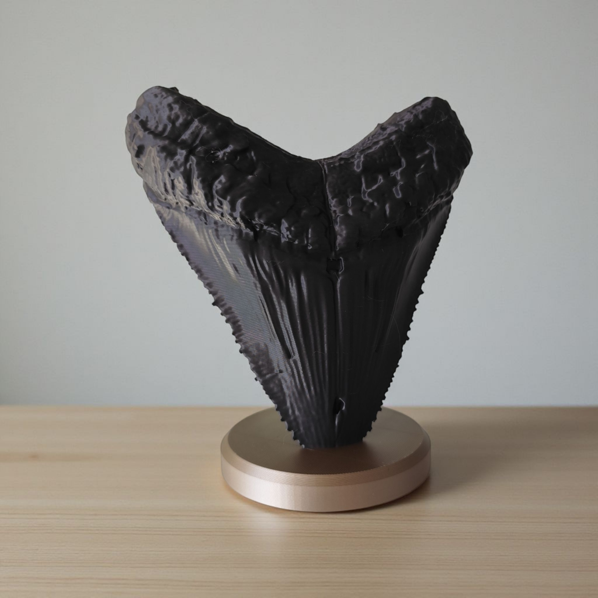 Megalodon Tooth Decorative Fossil commercial STL file Desk Accessories by Deltaprints