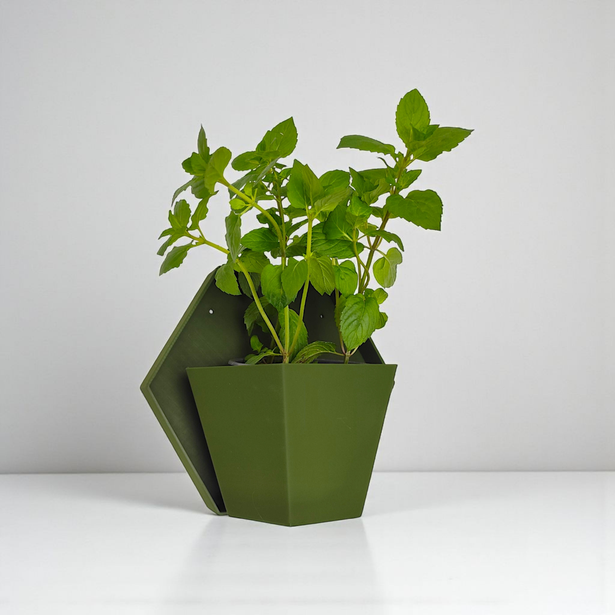 Geometric wall planter for herb gardens 3D print product image 3 by Deltaprints
