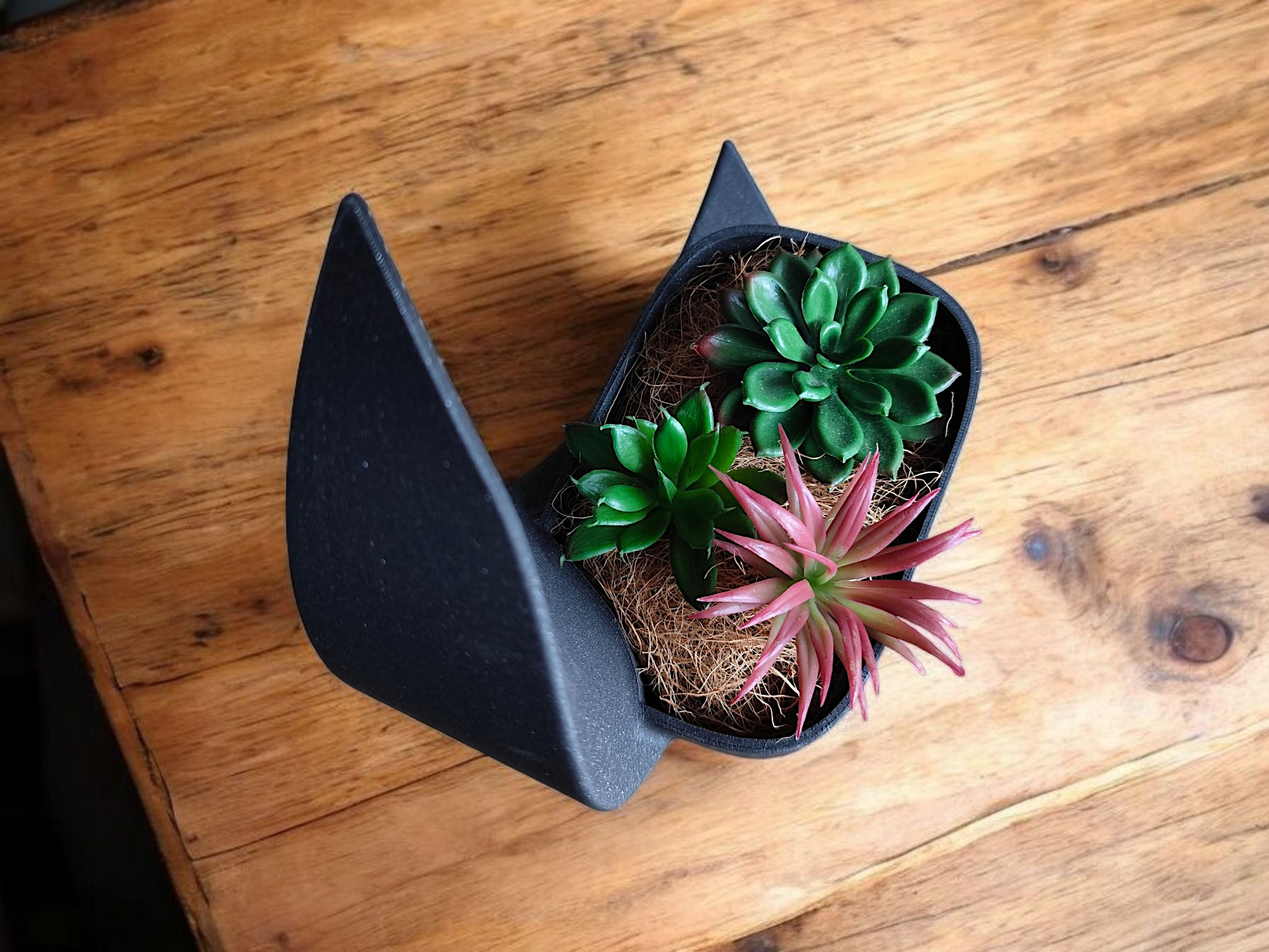 Crescent Decorative Object, Planter and Vase, Vessel 3D print product image 2 by Deltaprints