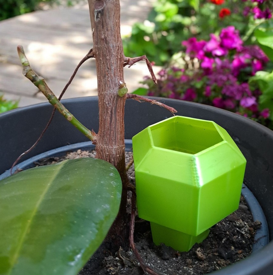 Hexagonal Plant Watering Spike – commercial STL model for 3D printing by Deltaprints