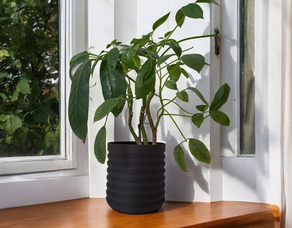 Modern Wavy Planter „RippleBloom“ – commercial STL model for 3D printing by Deltaprints