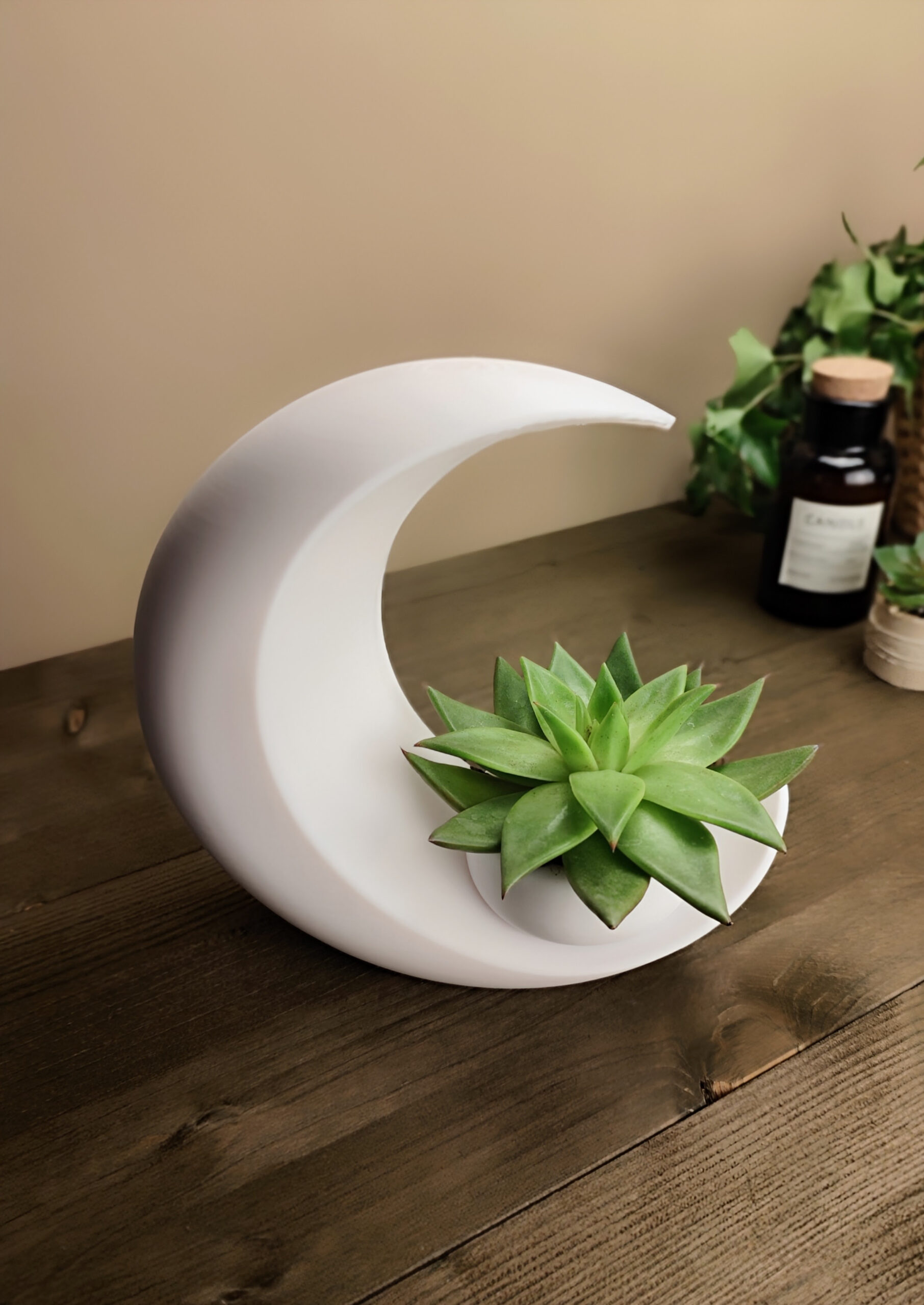 Into the Moon Succulent Planter, Vase 3D print product image 2 by Deltaprints
