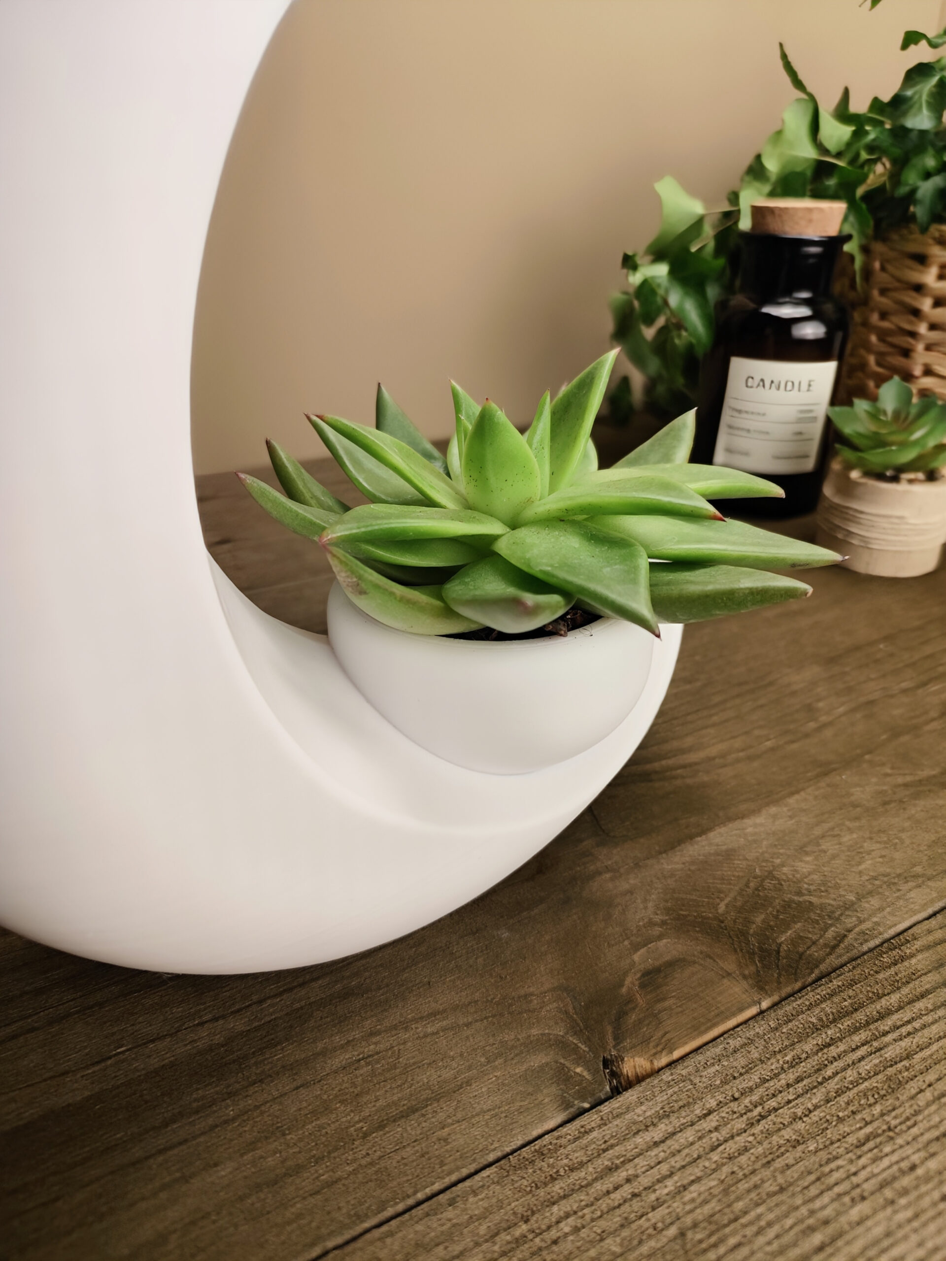 Into the Moon Succulent Planter, Vase 3D print product image 3 by Deltaprints