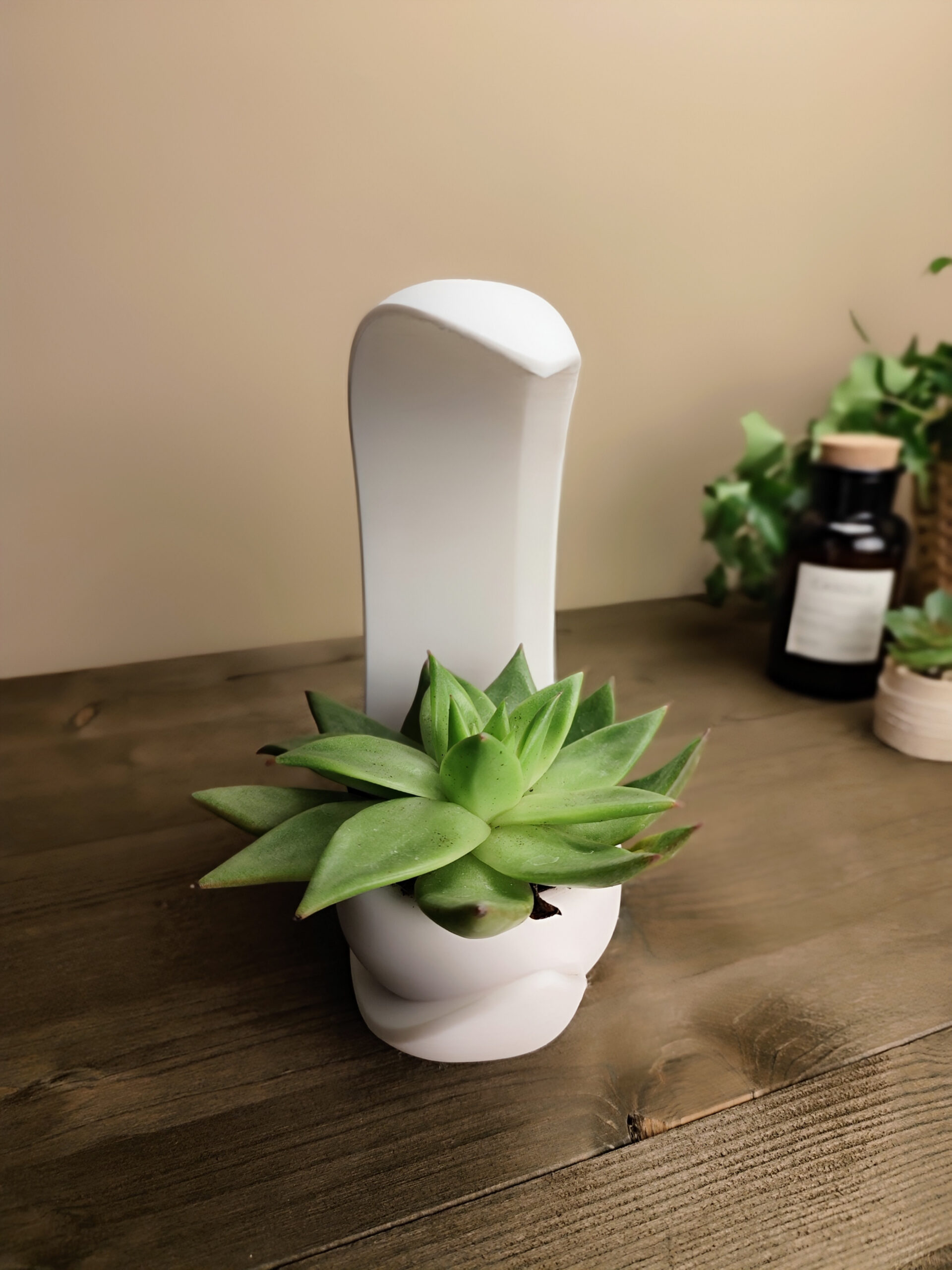 Into the Moon Succulent Planter, Vase 3D print product image 4 by Deltaprints
