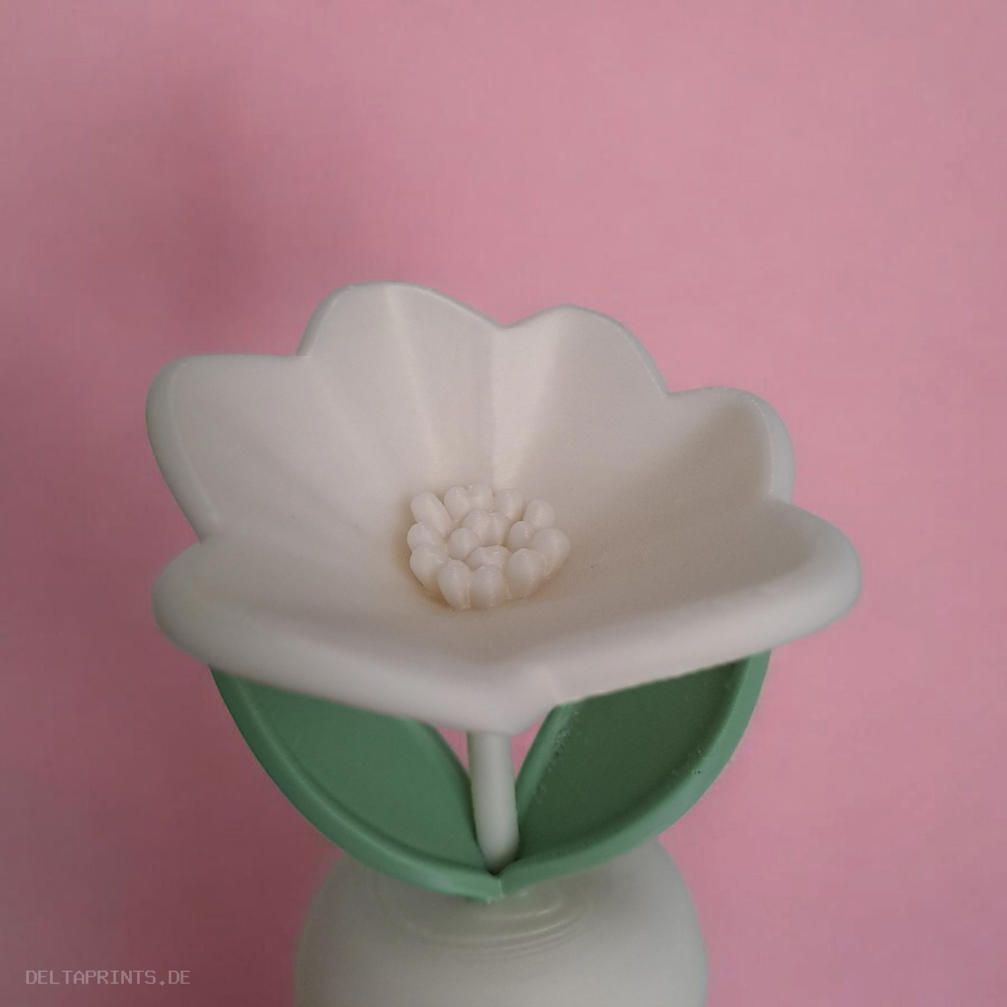 The Eternal Spring Flower 3D print product image 4 by Deltaprints