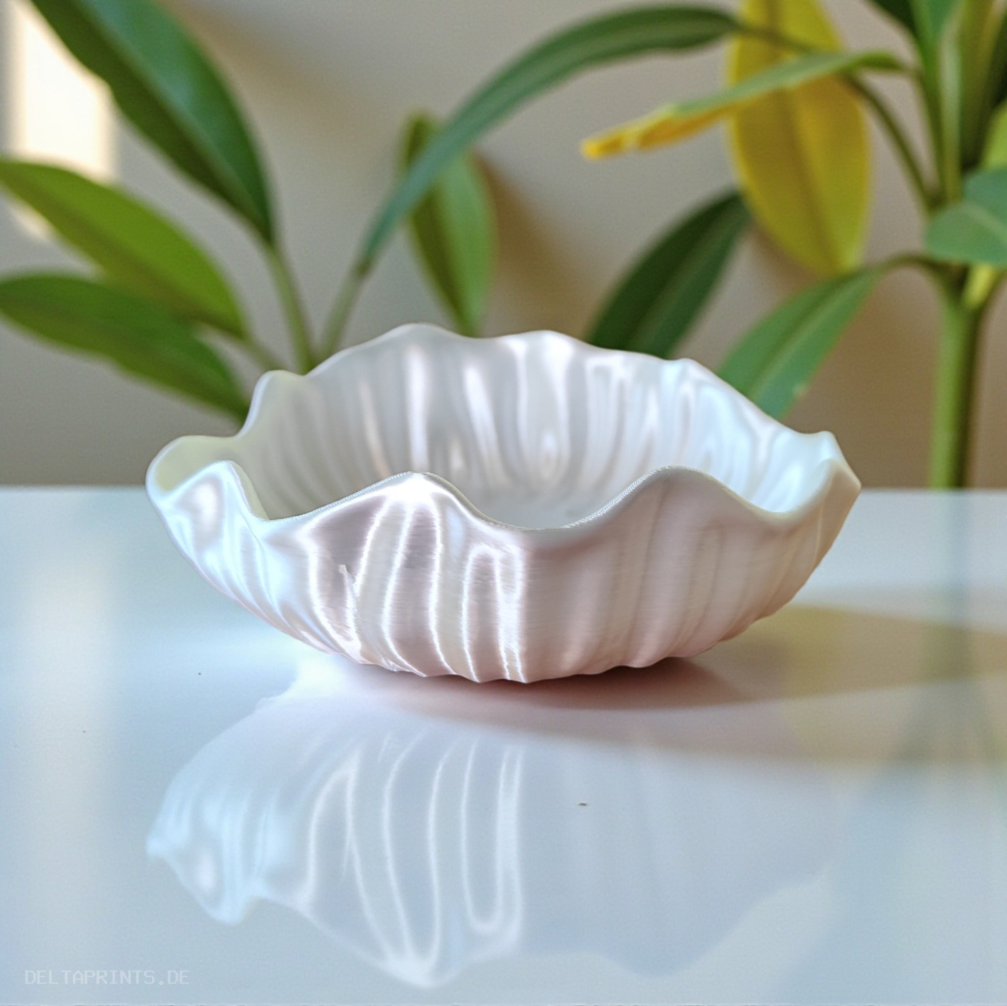 Glossy Seashell Bowl Version Two 3D print product image 2 by Deltaprints