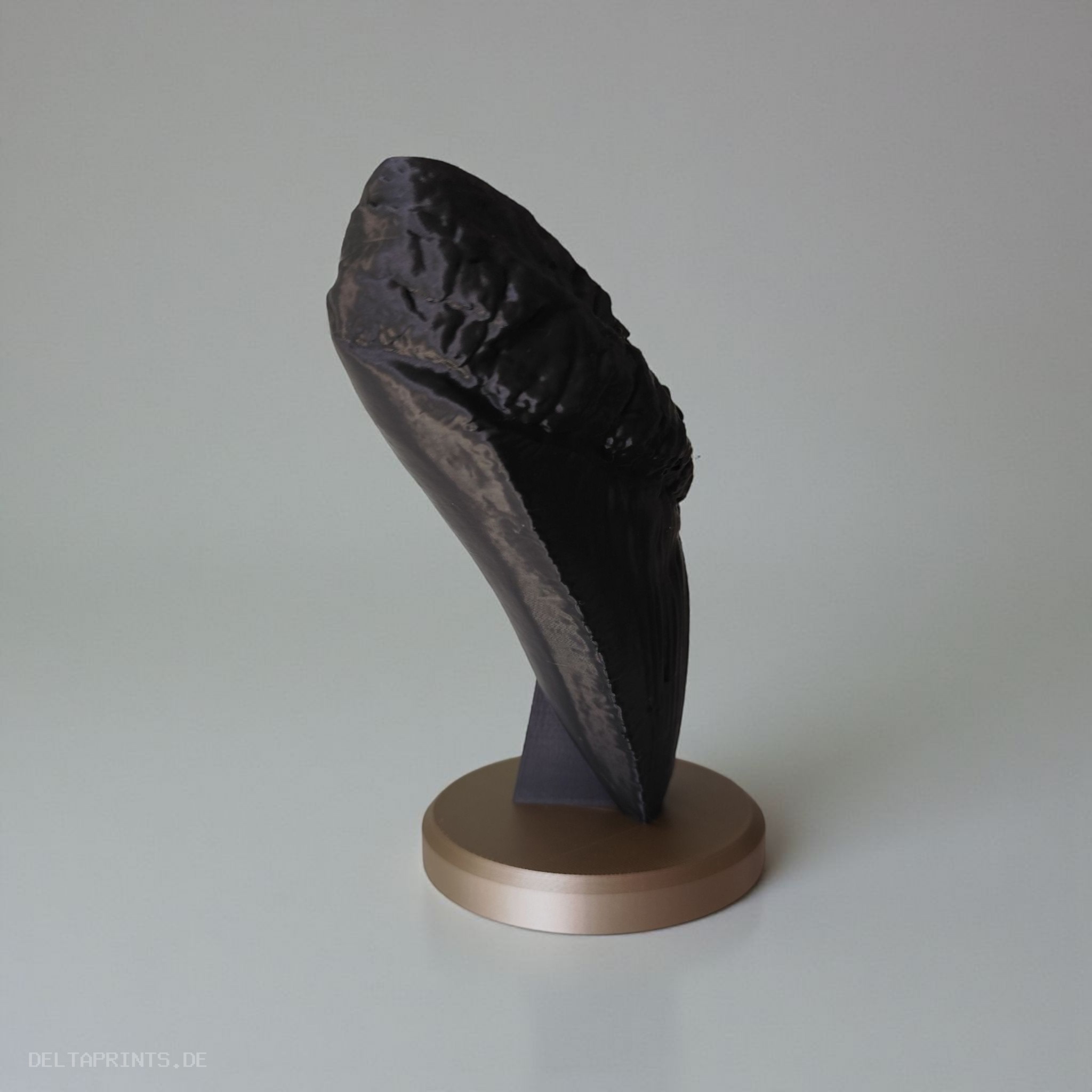 Megalodon Tooth Decorative Fossil 3D print product image 4 by Deltaprints