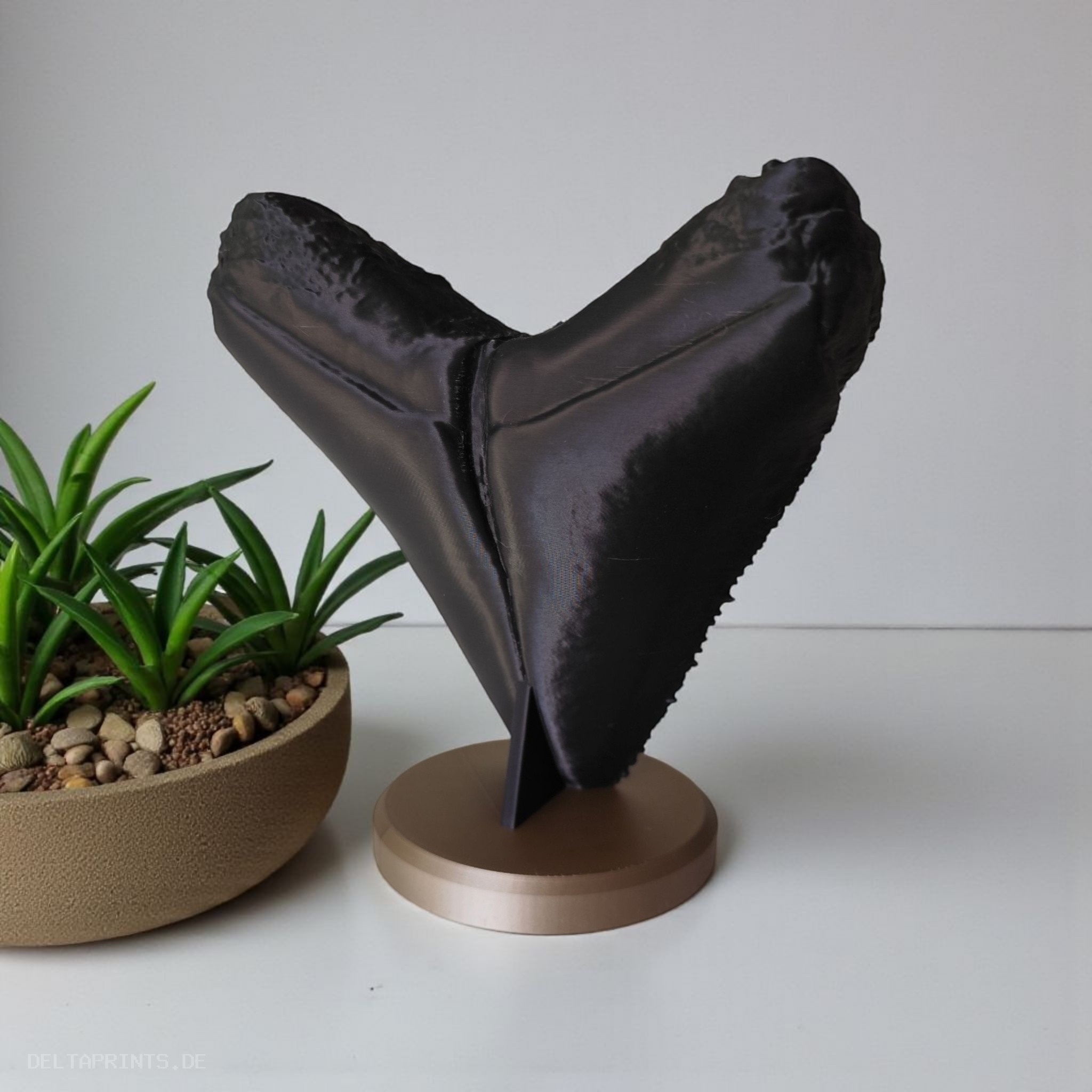 Megalodon Tooth Decorative Fossil 3D print product image 3 by Deltaprints