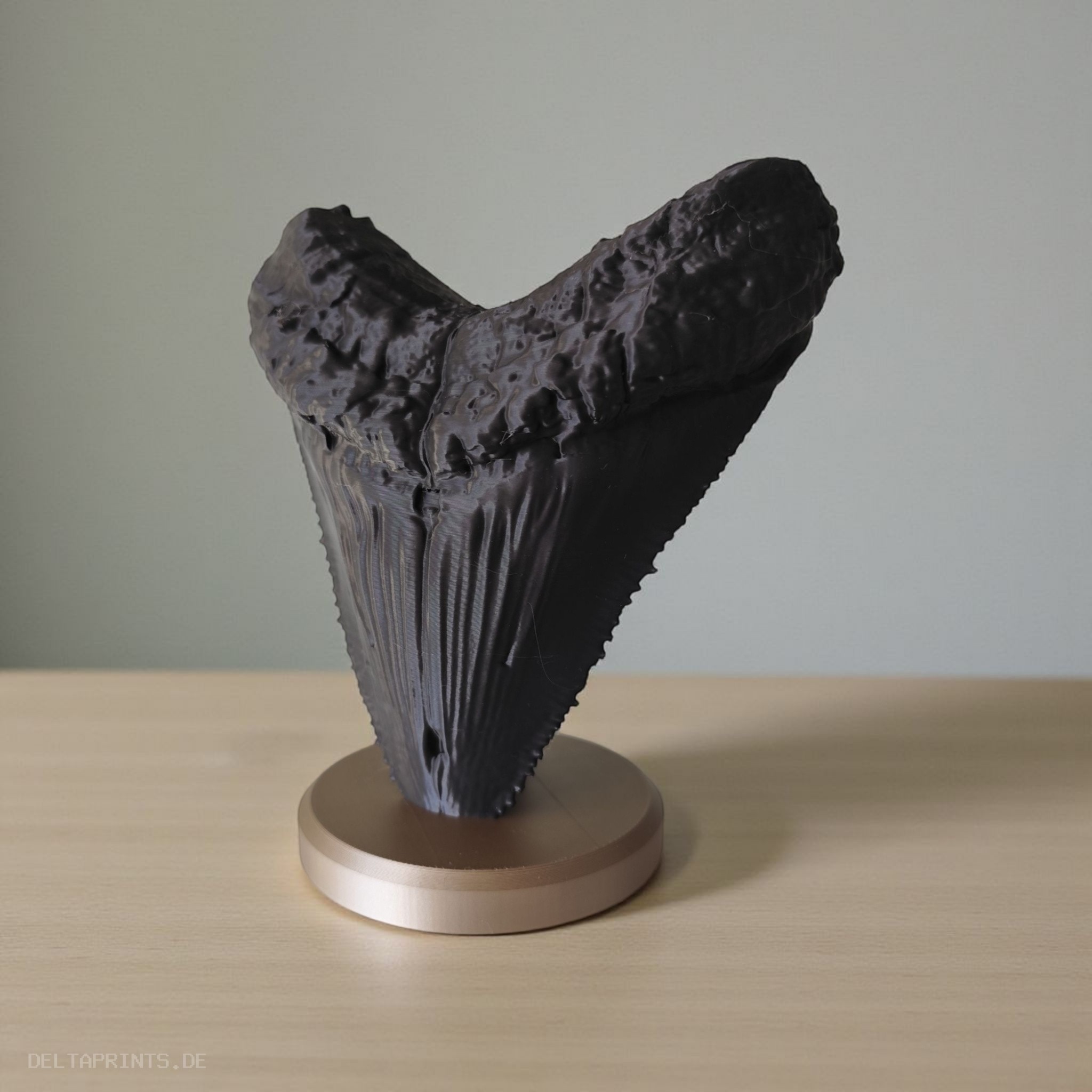 Megalodon Tooth Decorative Fossil 3D print product image 2 by Deltaprints