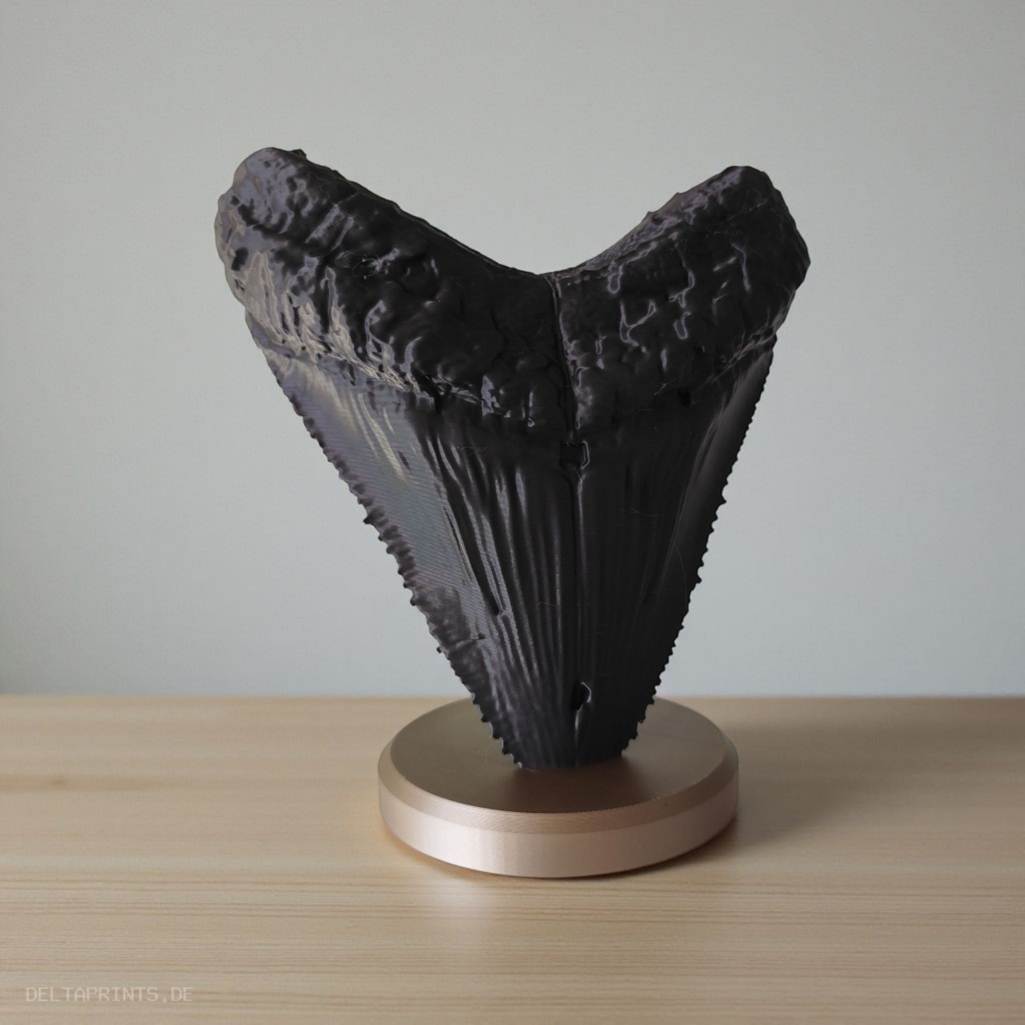 Megalodon Tooth Decorative Fossil commercial STL file Desk Accessories by Deltaprints