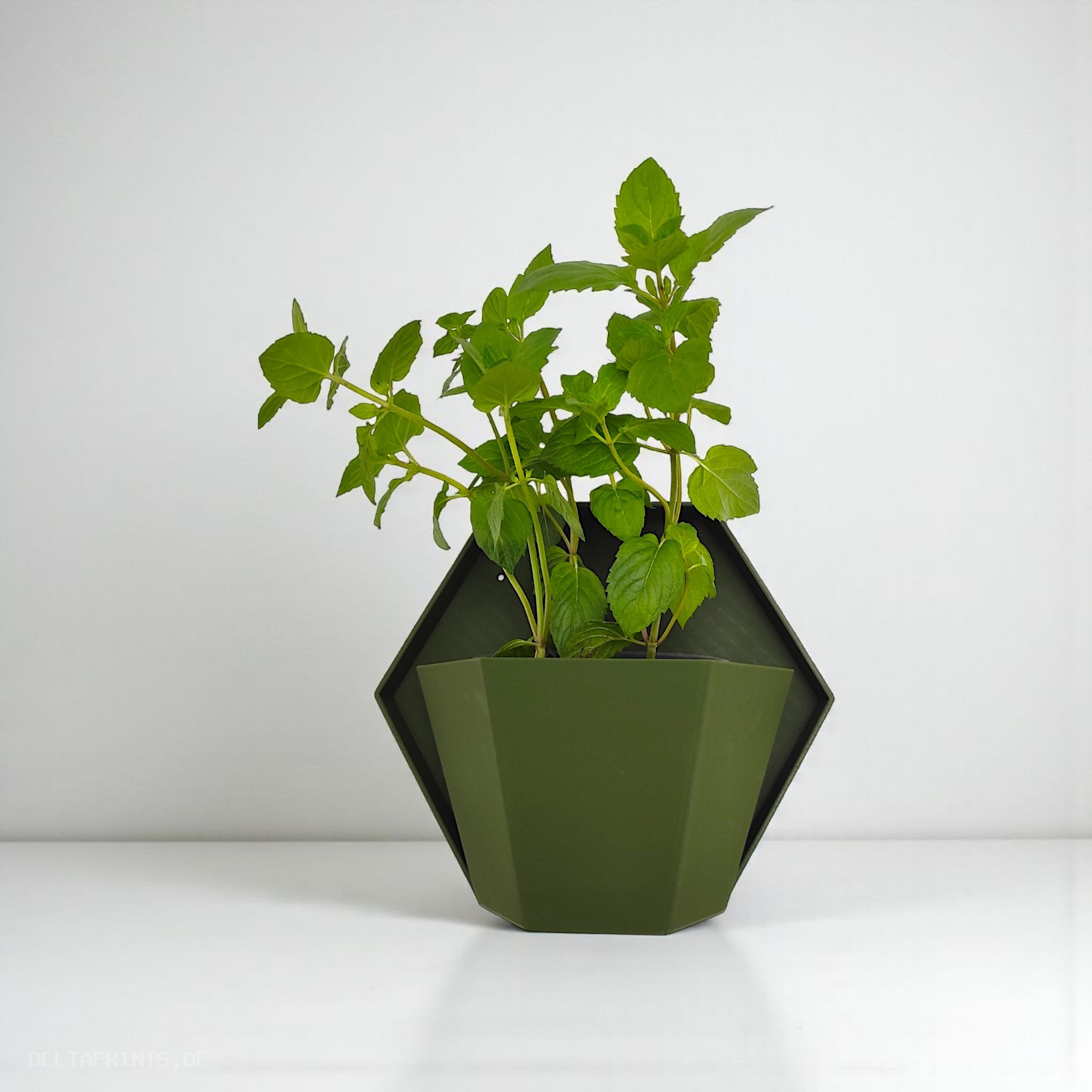 Geometric wall planter for herb gardens 3D print product image 4 by Deltaprints