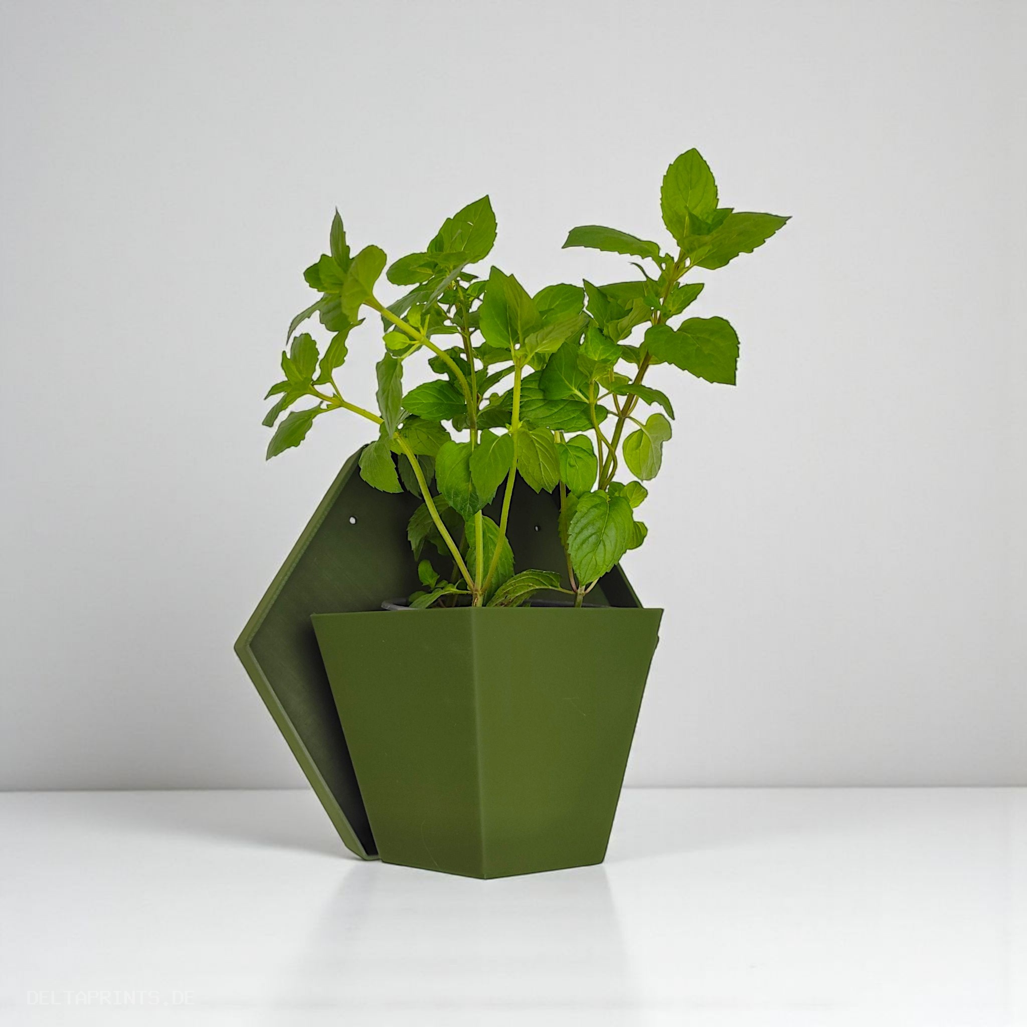 Geometric wall planter for herb gardens 3D print product image 3 by Deltaprints
